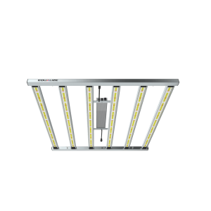 LED EQUALIZE LEVEL RW II 3.2 - 740W