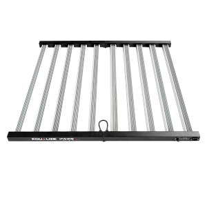 LED EQUALIZE INSIDE 3.1 - 1000W
